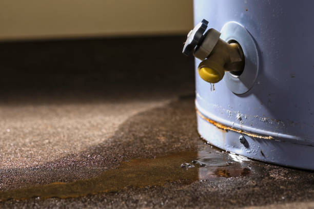 24/7 water damage repair in Cobb Island, MD
