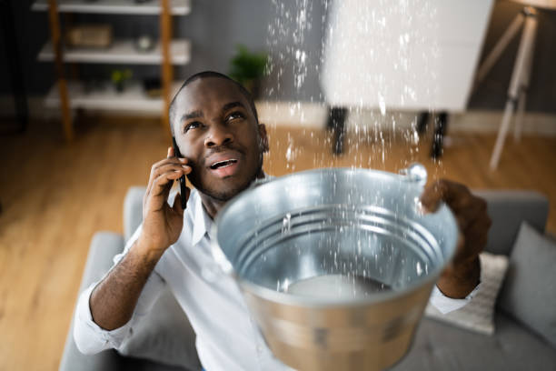 Best Water damage contractors near me  in Cobb Island, MD