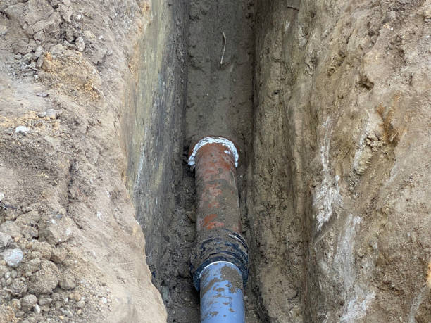 Best Flood damage cleanup  in Cobb Island, MD