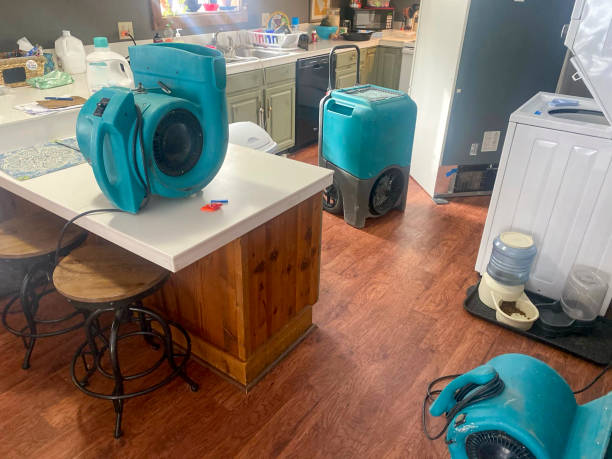 Best 24-hour water damage restoration  in Cobb Island, MD