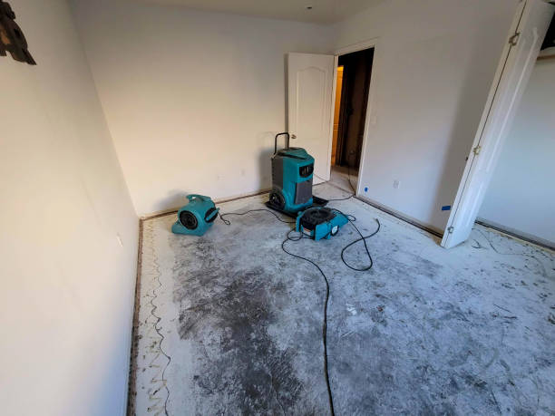 Best Local water damage restoration  in Cobb Island, MD