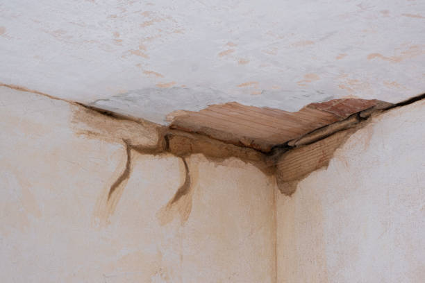 Best Residential water damage restoration  in Cobb Island, MD