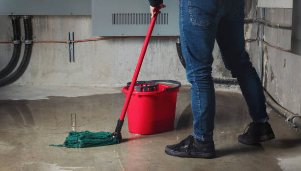 Best Professional water damage repair  in Cobb Island, MD