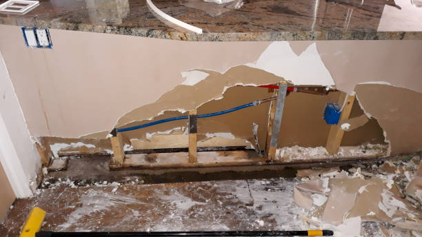 Best Water damage mitigation services  in Cobb Island, MD