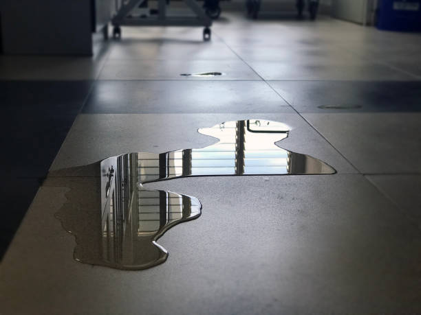 Best Water damage restoration insurance claims  in Cobb Island, MD