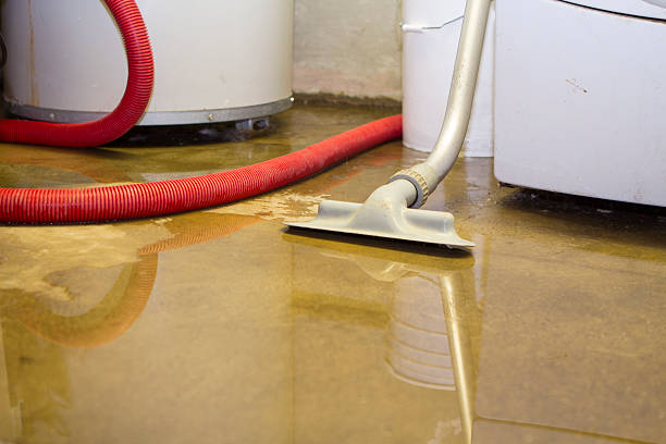 Best 24/7 water damage repair  in Cobb Island, MD