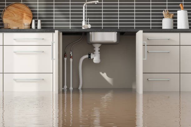 Best 24/7 water damage repair  in Cobb Island, MD