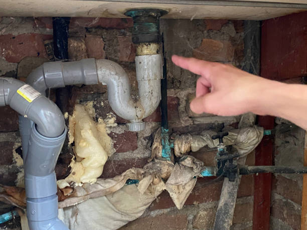 Water damage restoration experts in Cobb Island, MD