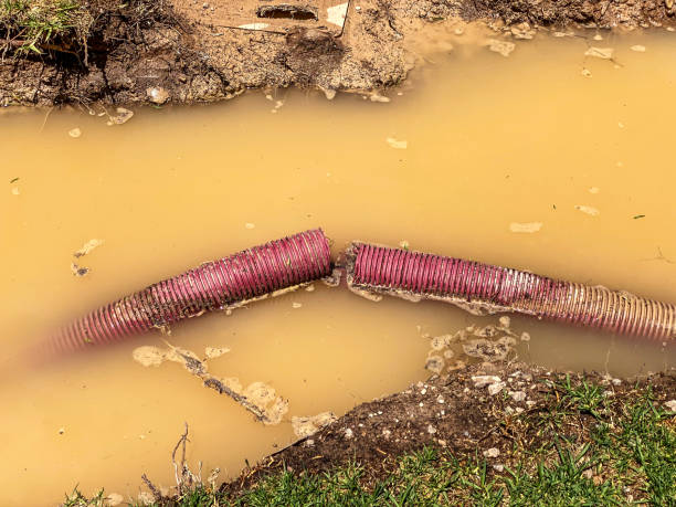Best Water damage restoration experts  in Cobb Island, MD