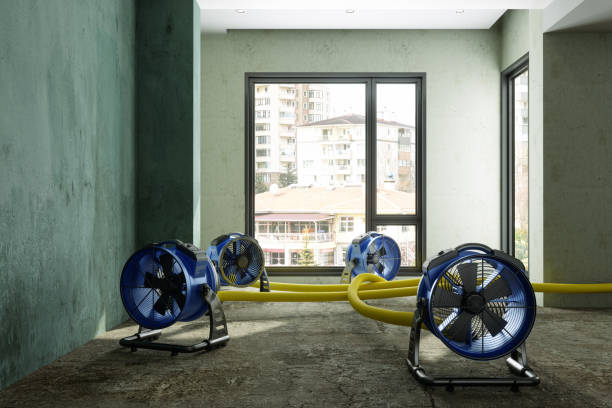 Best Carpet water damage restoration  in Cobb Island, MD
